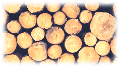 Evropska uredba o trgovanju z lesom (EU Timber Regulation) - EUTR